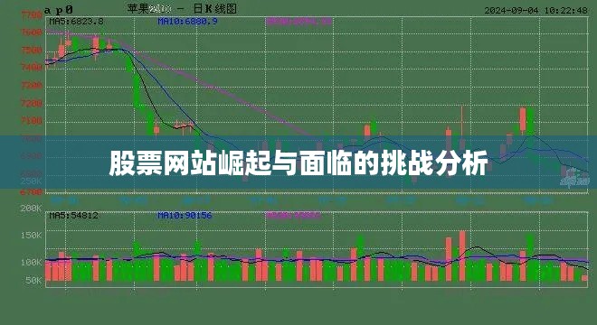 股票网站崛起与面临的挑战分析