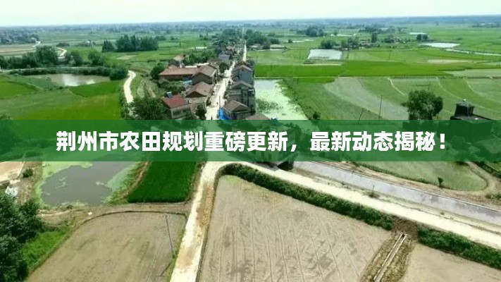 德才兼备