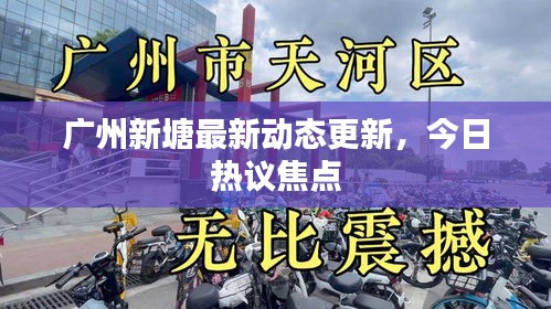 广州新塘最新动态更新，今日热议焦点