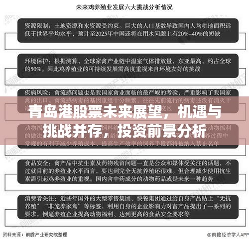 青岛港股票未来展望，机遇与挑战并存，投资前景分析