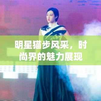 新闻中心 第17页