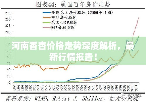 河南香杏价格走势深度解析，最新行情报告！
