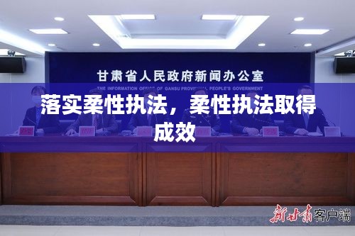 落实柔性执法，柔性执法取得成效 