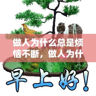 不翼而飞