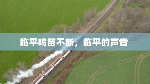 员工入口 第10页