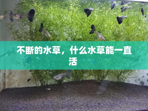 业绩展示 第8页