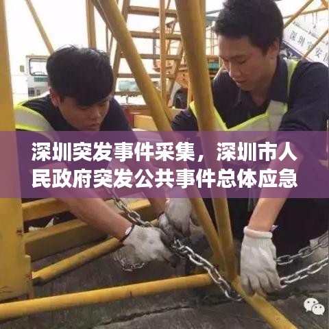 漫天飞舞