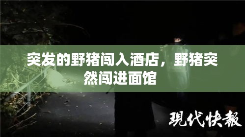 突发的野猪闯入酒店，野猪突然闯进面馆 