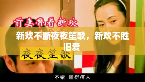 新欢不断夜夜笙歌，新欢不胜旧爱 