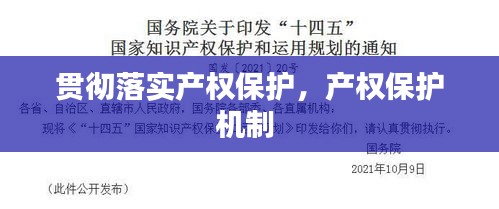 贯彻落实产权保护，产权保护机制 