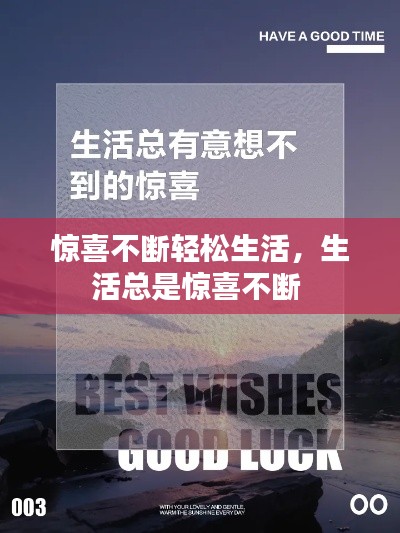 新闻中心 第7页
