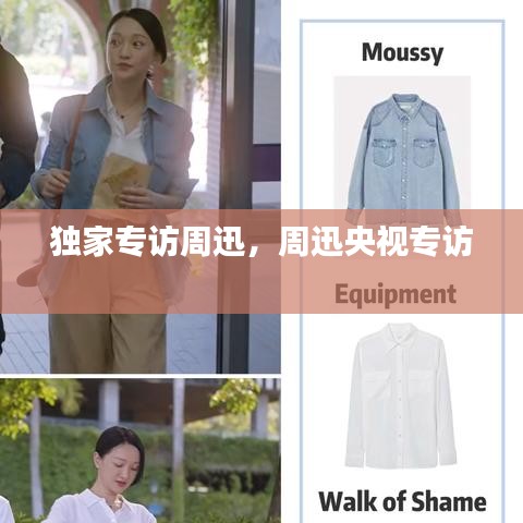 独家专访周迅，周迅央视专访 