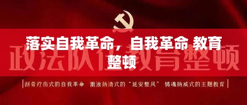 落实自我革命，自我革命 教育整顿 