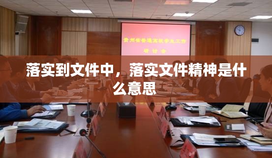 落实到文件中，落实文件精神是什么意思 