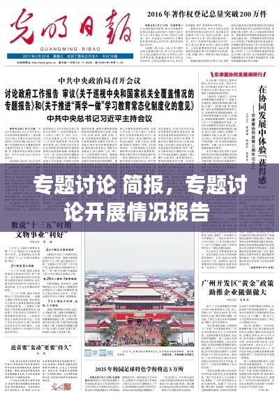 专题讨论 简报，专题讨论开展情况报告 