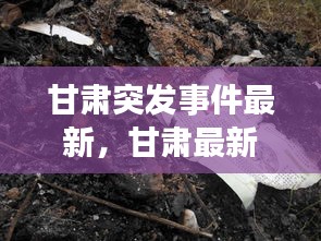甘肃突发事件最新，甘肃最新事件8死 