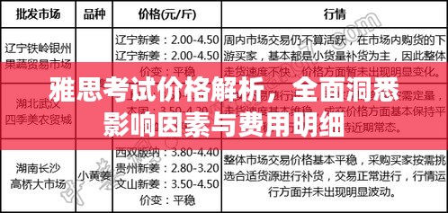 雅思考试价格解析，全面洞悉影响因素与费用明细