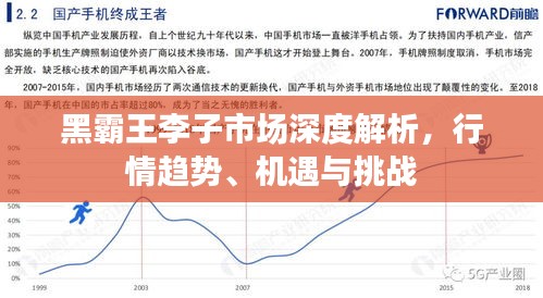 黑霸王李子市场深度解析，行情趋势、机遇与挑战