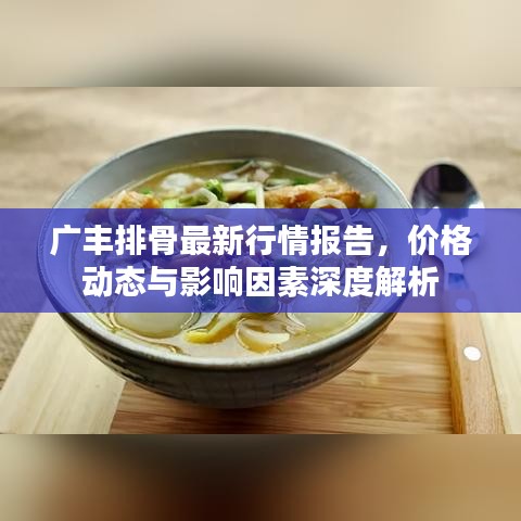 公司概况 第4页
