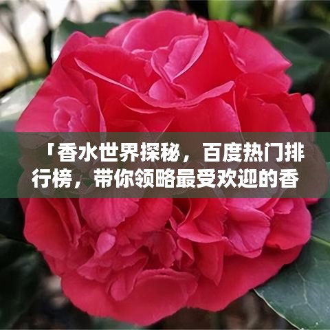 业绩展示 第3页