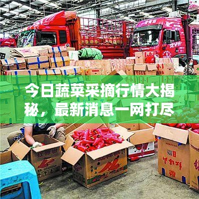 造价咨询 第4页